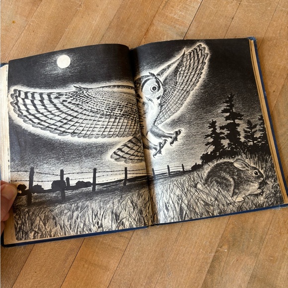 Vintage 60’s Owl Book - Picture 9 of 13